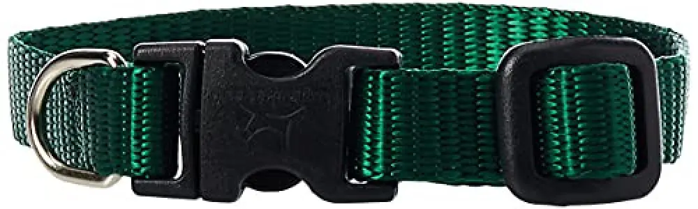Lupine 6-9 1/2 Adj Green