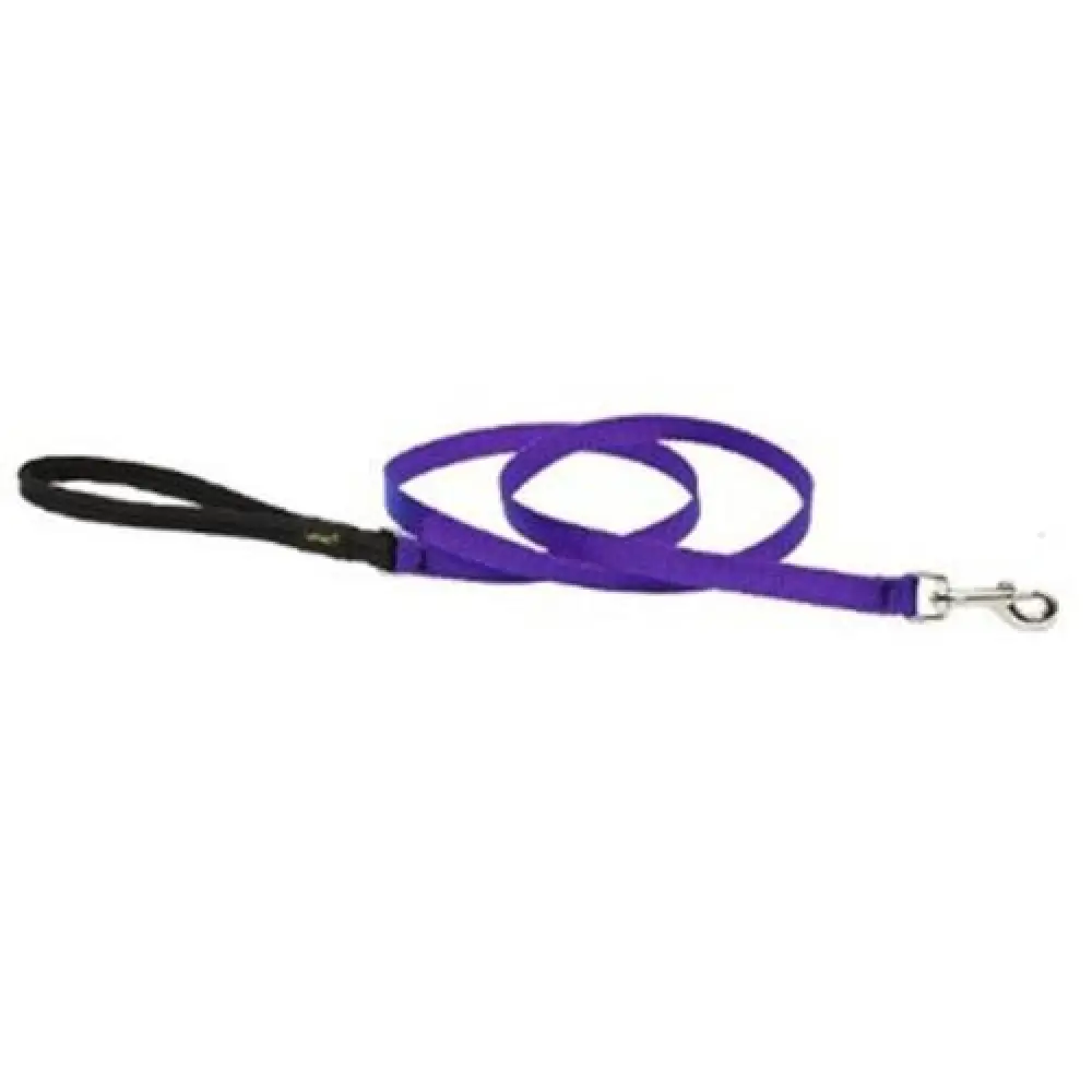 Lupine 4ft 1/2 Purple
