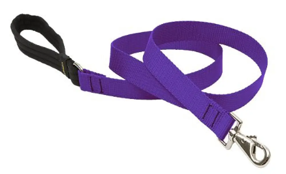 Lupine 1 6' Purple Lead