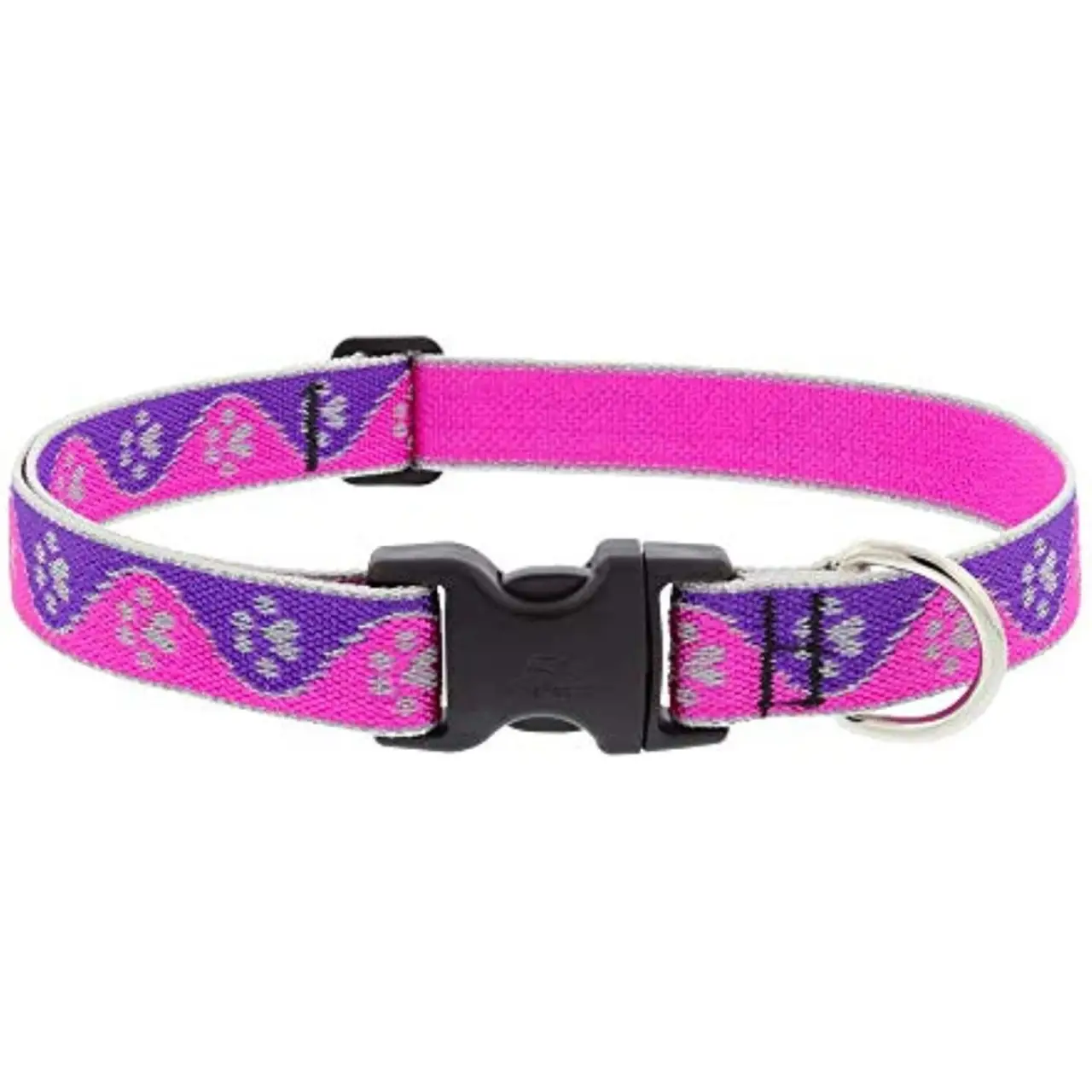 Lupine 12-20 1 HLPinkPaws