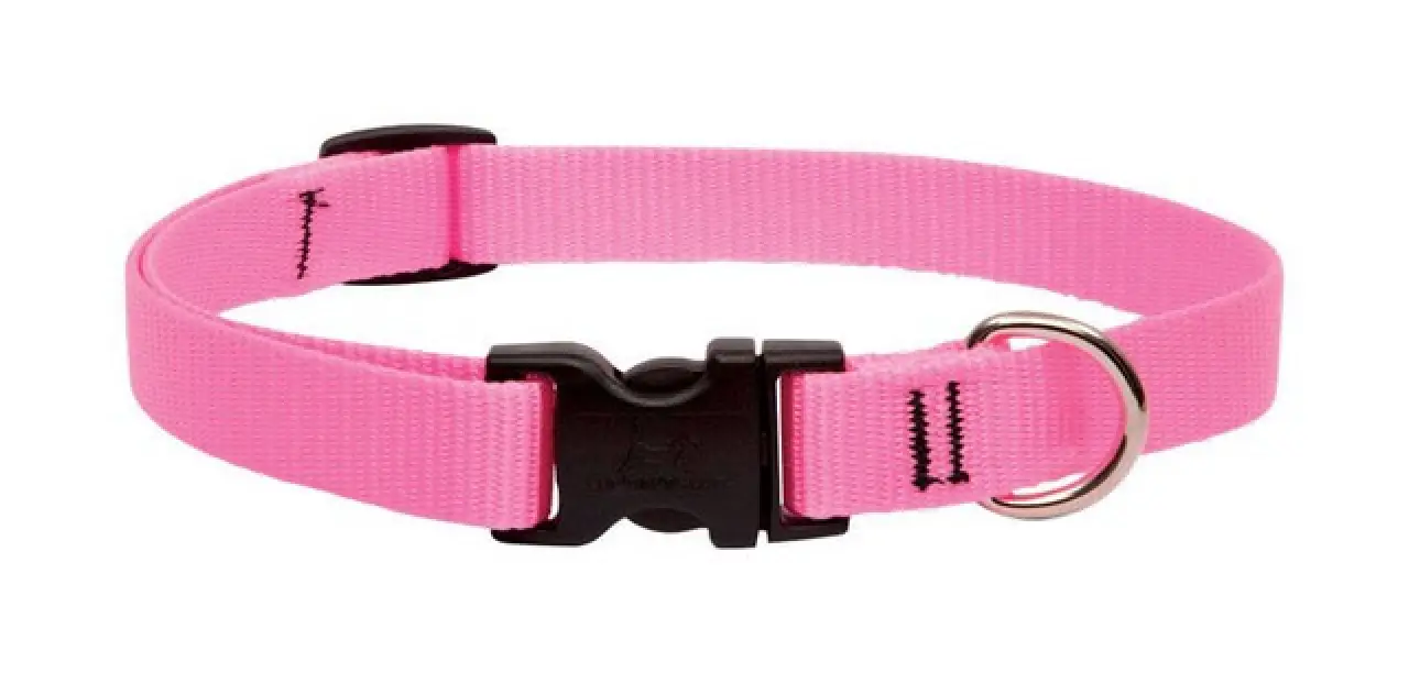 Lupine 13-22 3/4 Pink