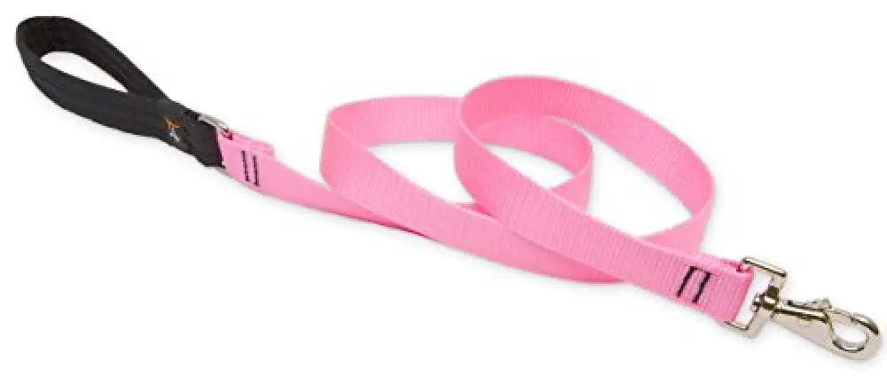 Lupine 1 4' Pink Lead