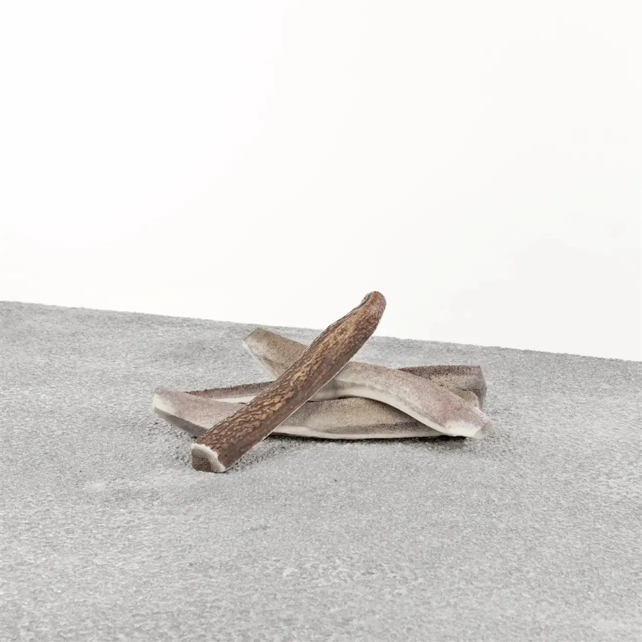 Stag Antler Split LG