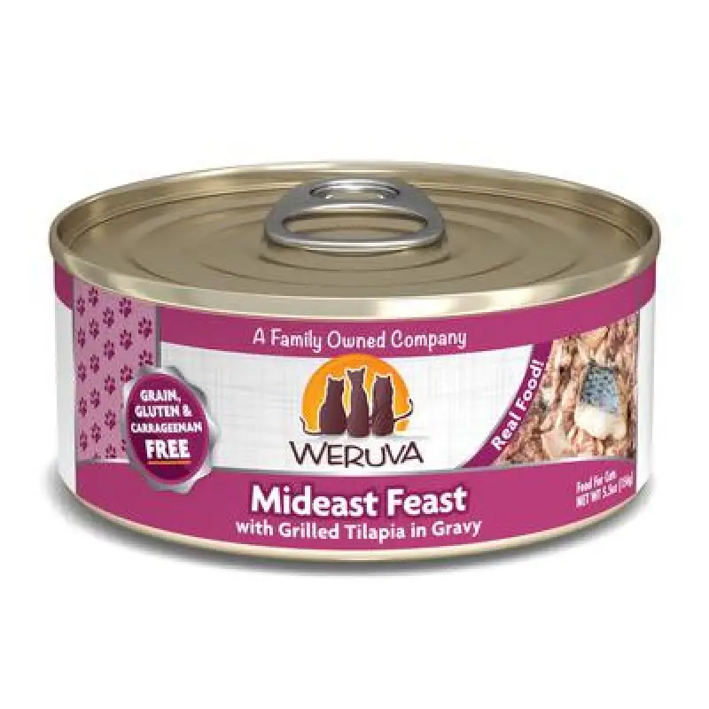 Weruva Mideast Feast 5.5z