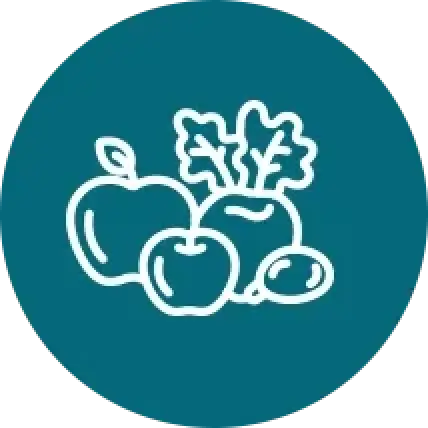 checklist icon