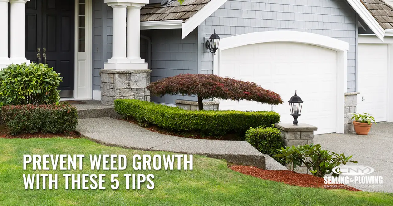 Prevent Weed Growth with These 5 Tips