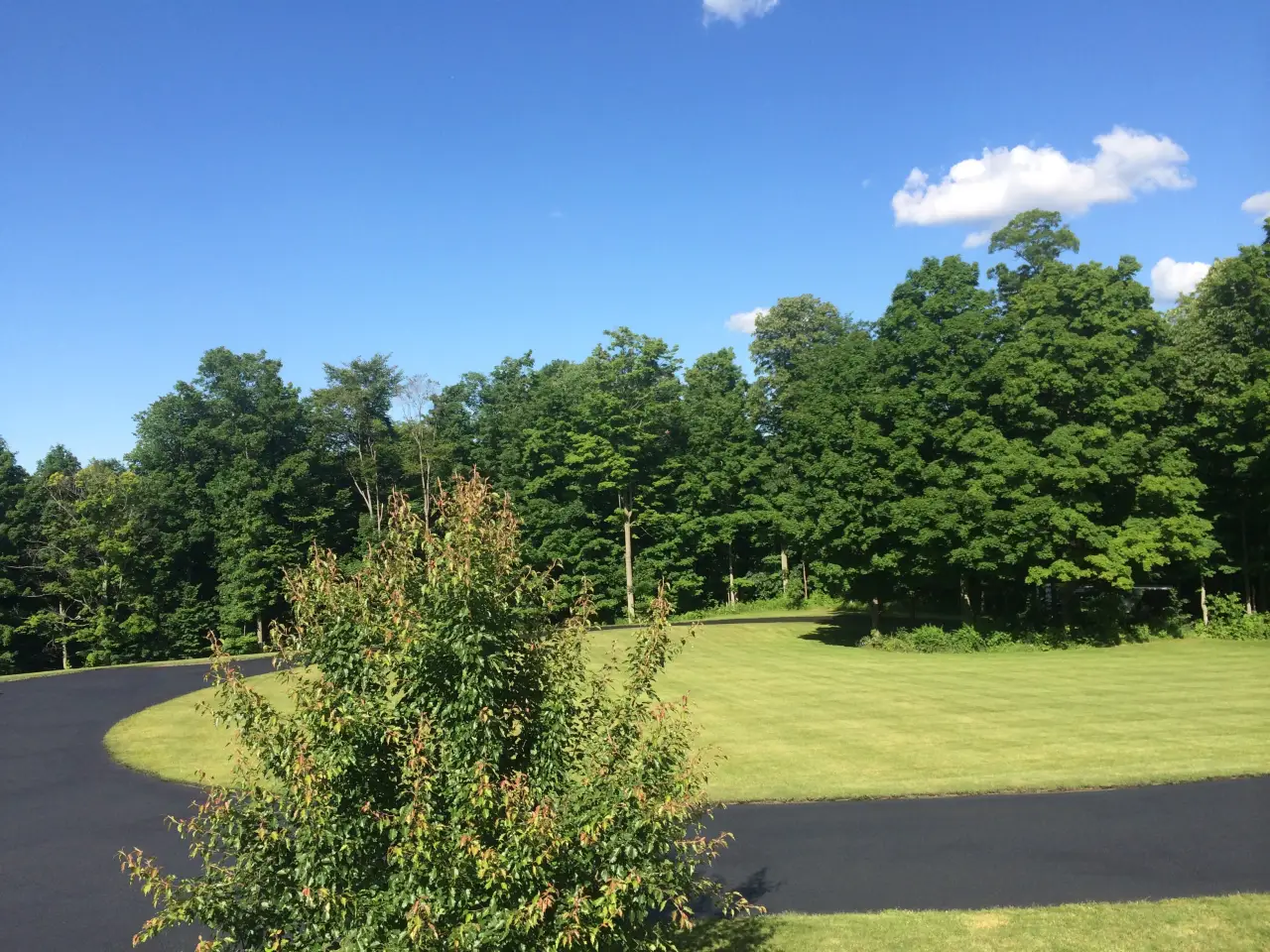 A new driveway on a residential property with green grass and trees.