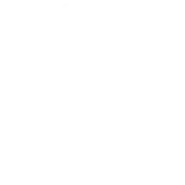 white tire outline icon
