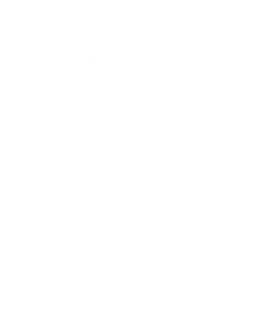 white shield icon with checkmark in the middle