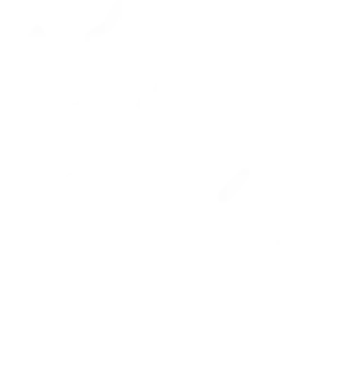 white car icon with stars