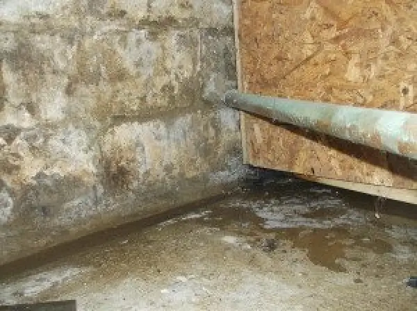 Wet basement corner with water stains, moldy walls, and a pipe running along the right wall.