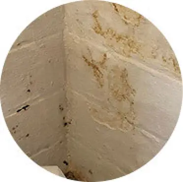 Damp basement wall