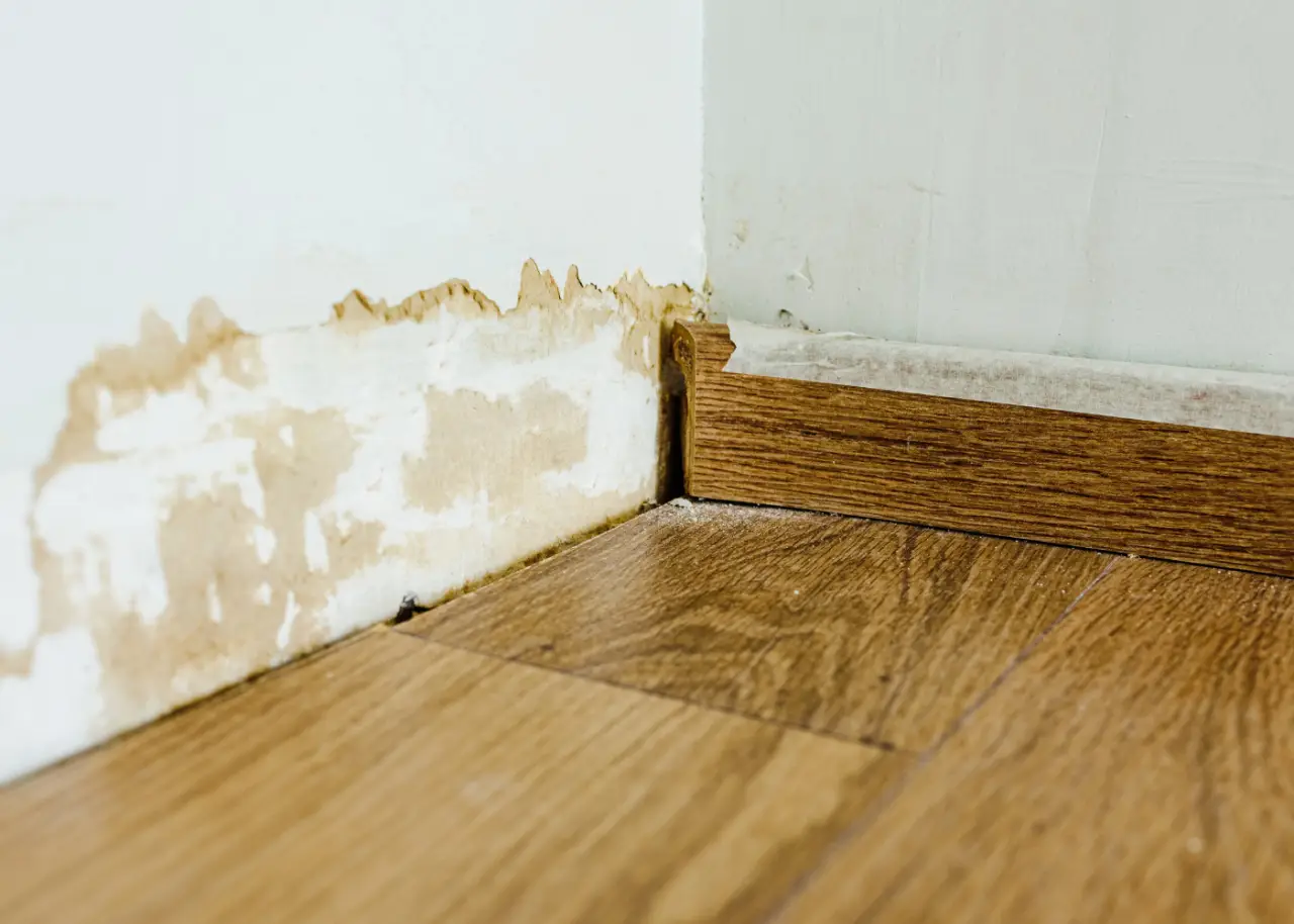 Damp basement wall showing signs of excess moisture.
