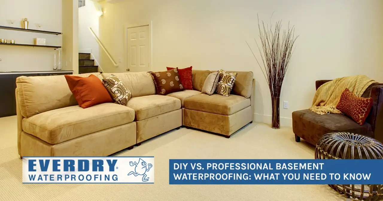 DIY vs. Professional Basement Waterproofing: What You Need to Know