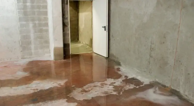 A basement with concrete walls and floor, partially flooded with water near an open door.