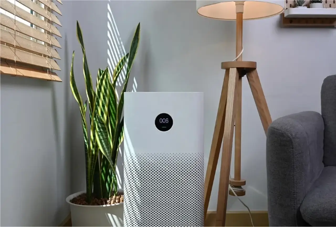 Air purifier beside a potted snake plant and a wooden floor lamp near a gray sofa.