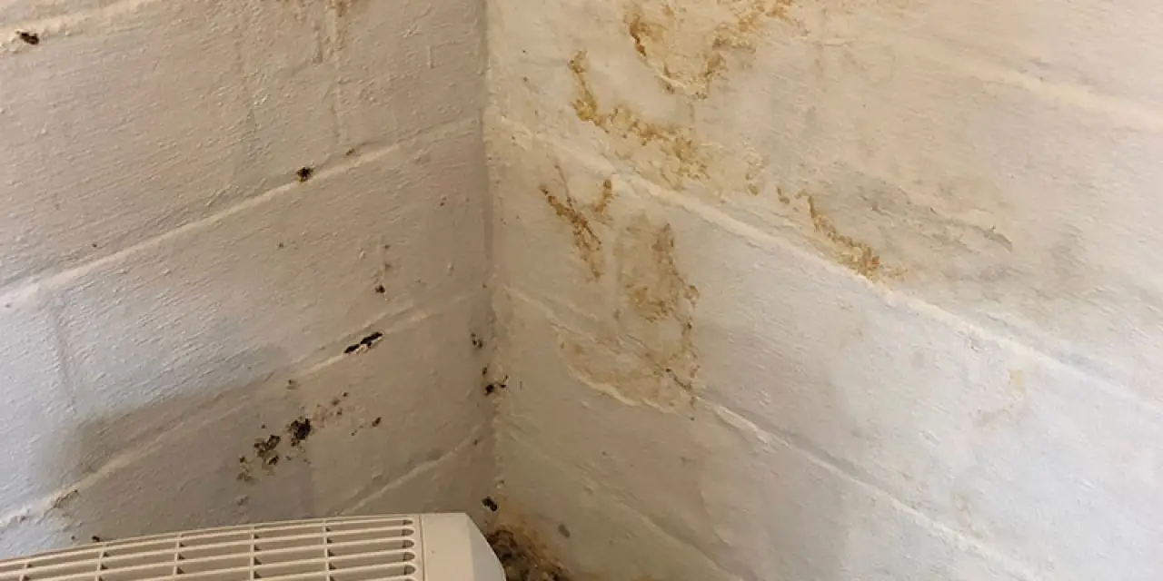 White brick walls with visible damp stains and mold growth in the corner above a heater.