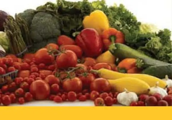 Assorted fresh vegetables including tomatoes, peppers, broccoli, and garlic.