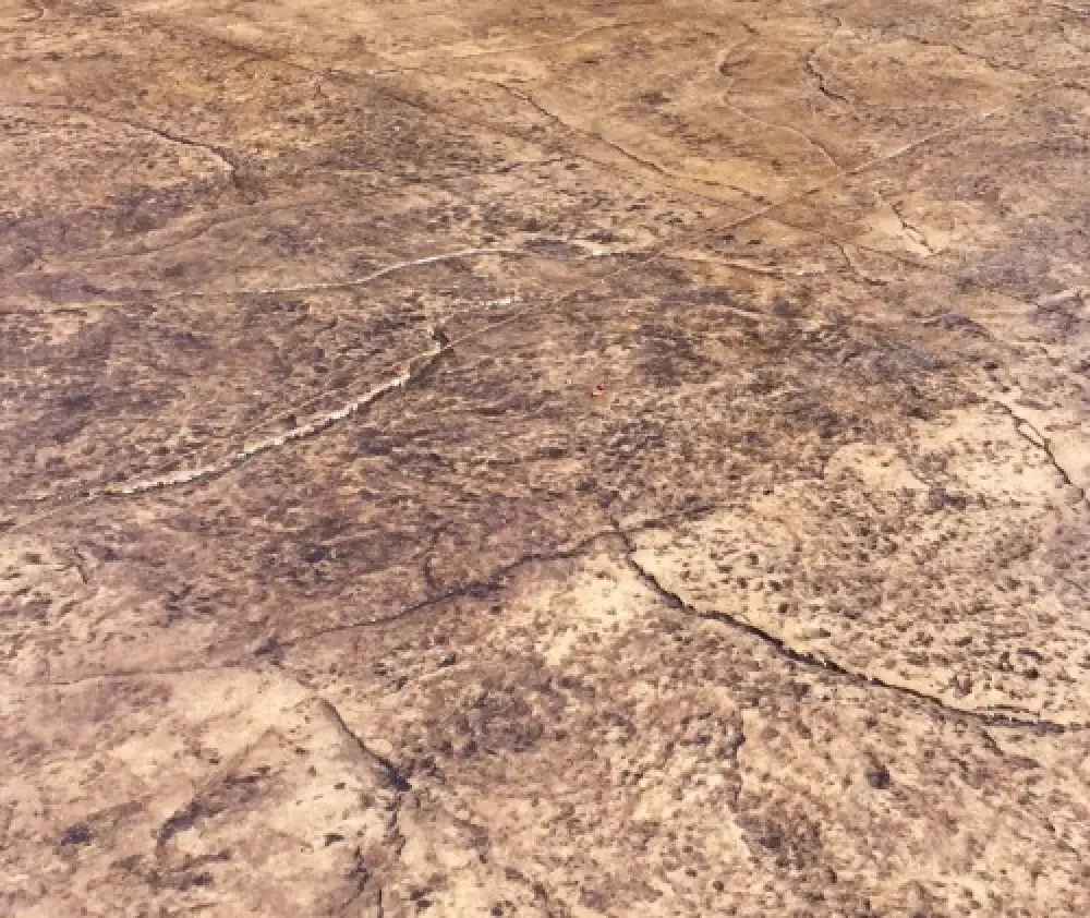 Cracked, dry, brown earth with rough texture and irregular patterns, resembling a desert floor.
