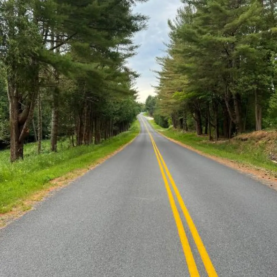 freshly restriped yellow double line down a road in a wooded area