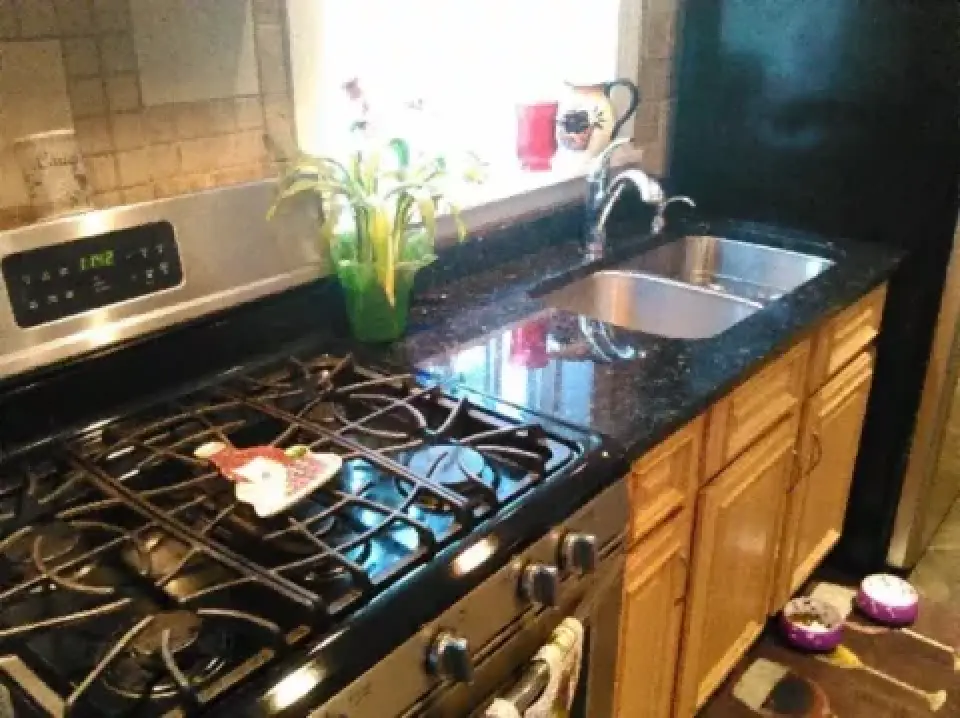 Modern kitchen with stove, sink, potted plant, and pet bowls on the floor near cabinets.
