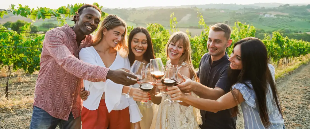 Wine Tour Transportation & Limo service