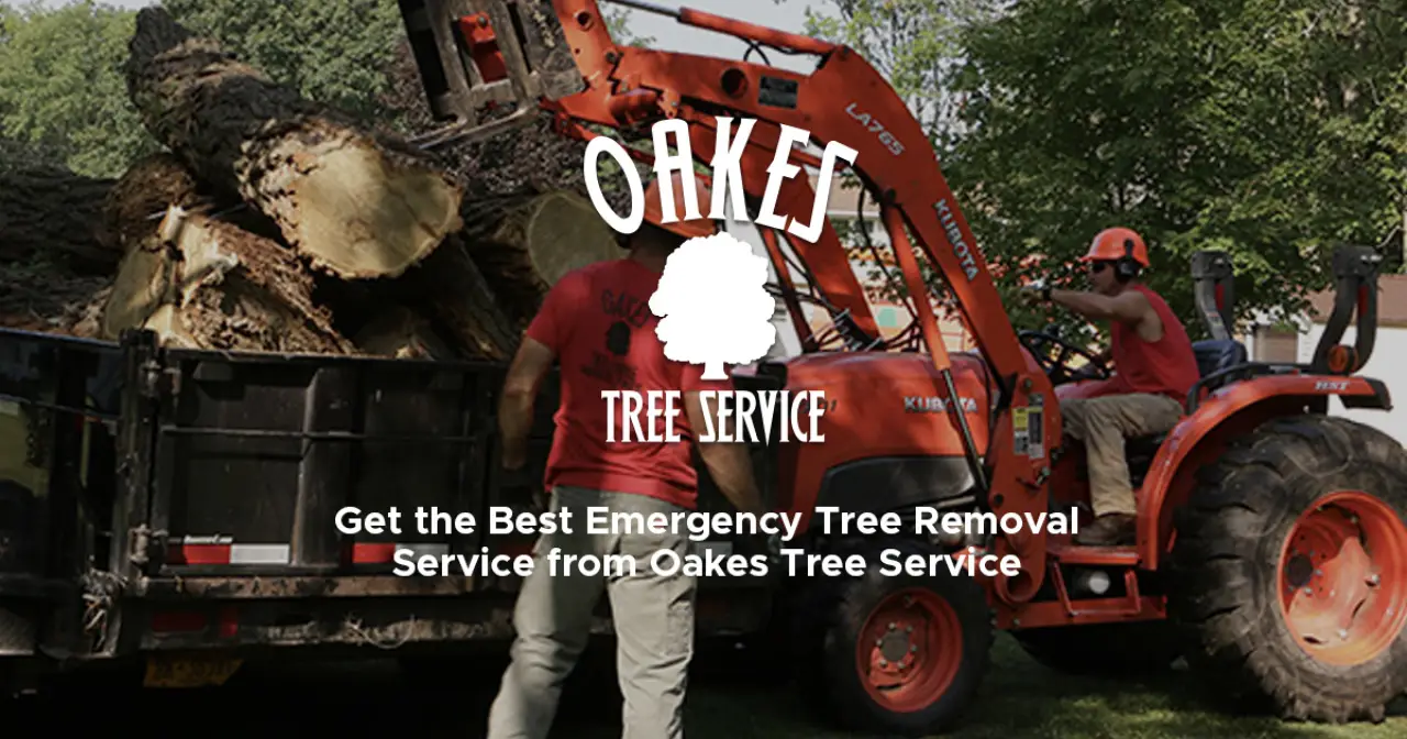 Two workers load large tree debris into a trailer using an orange tractor in daylight.
