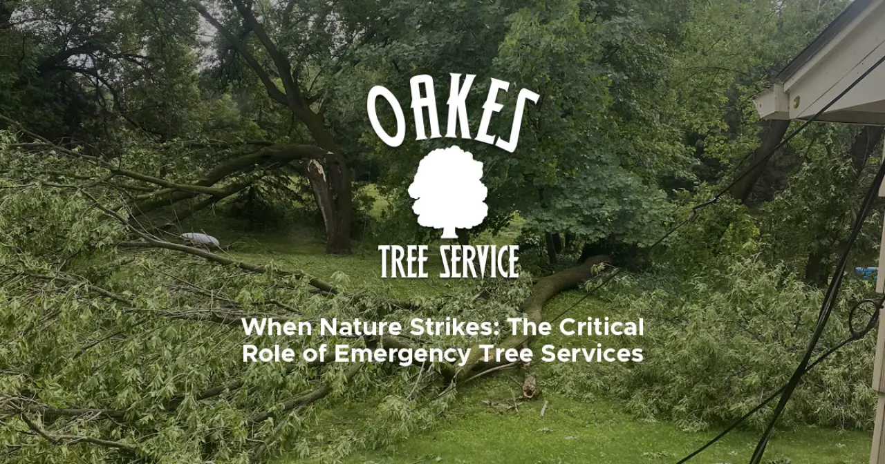 Large fallen tree branches cover a green yard after a storm, with a tree service logo overlaid.