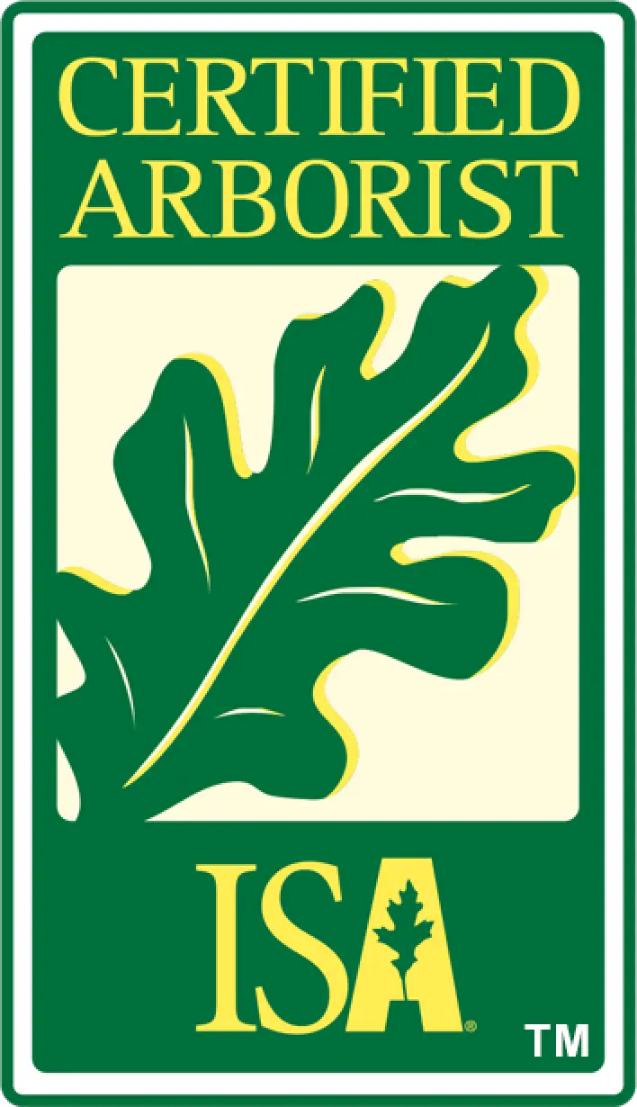 Certified Arborist logo with a green oak leaf and yellow ISA text on a green background.