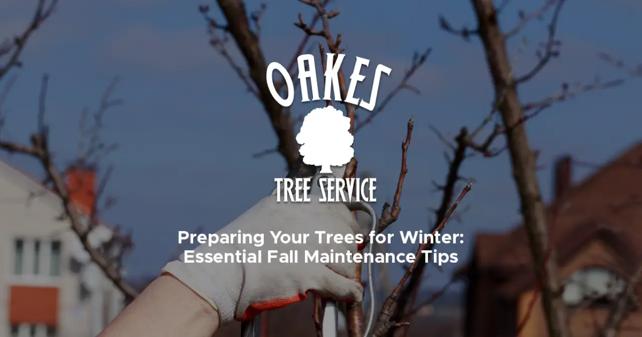 Prep your trees for winter with these fall tips from Oakes Tree Service.