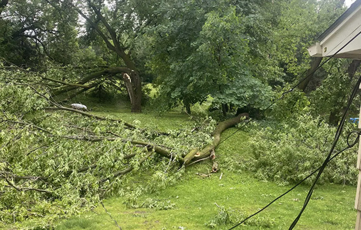 storm damage emergency tree services commercial