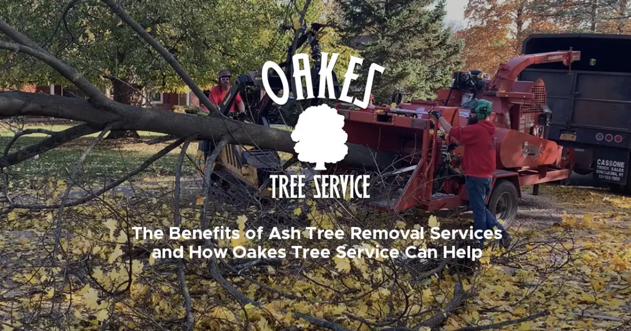 Two workers feed branches into a wood chipper; Oakes Tree Service logo and text overlayed.