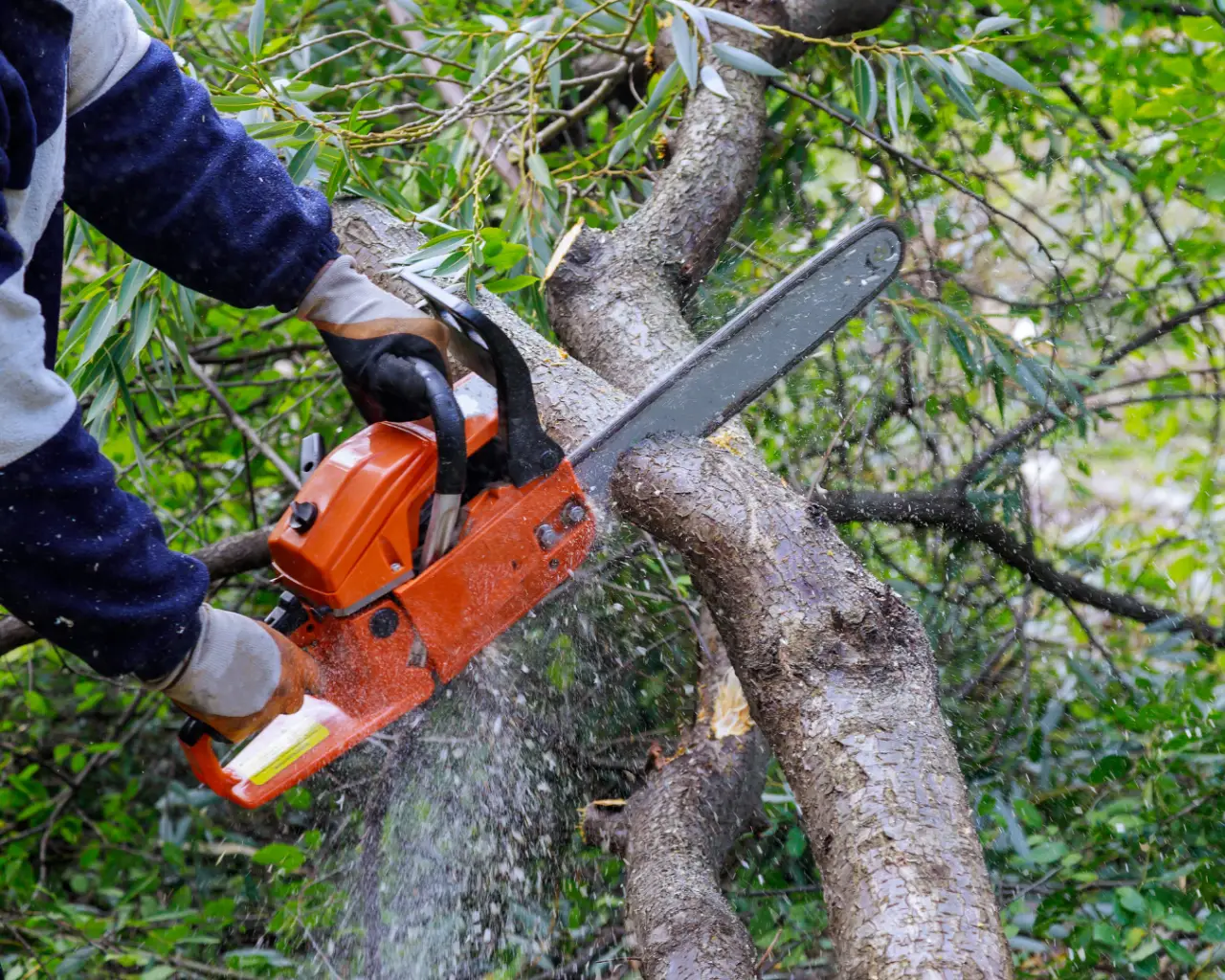 Oakes Tree Service crew at work in Monroe County