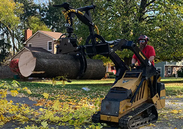 Stump grinding and removal service placeholder image.