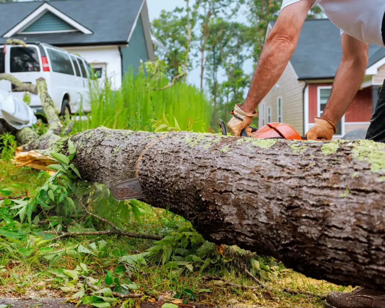 Person cutting a fallen tree with a chainsaw near houses and a white van on a grassy lawn.
