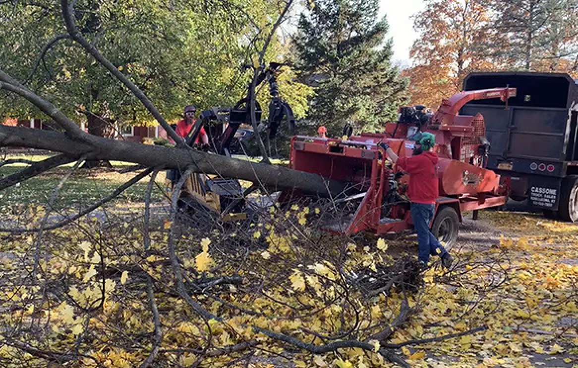 Two workers feed tree branches into a wood chipper next to a truck on a leafy lawn.