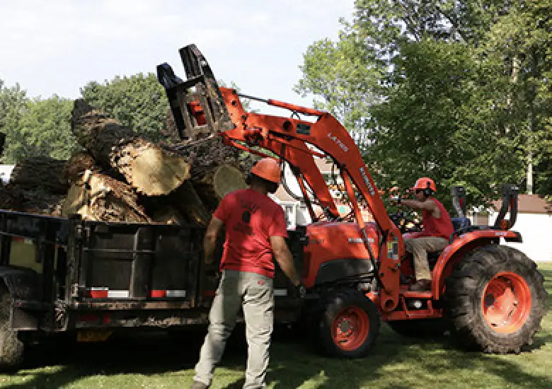 A man stands by a tractor loading large logs into the back of a black truck on a lawn.