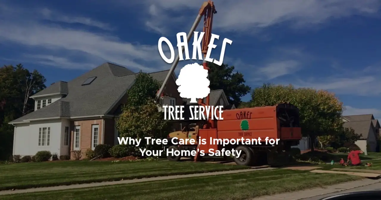Crane truck trimming tall tree near a suburban house, promoting tree care and safety.