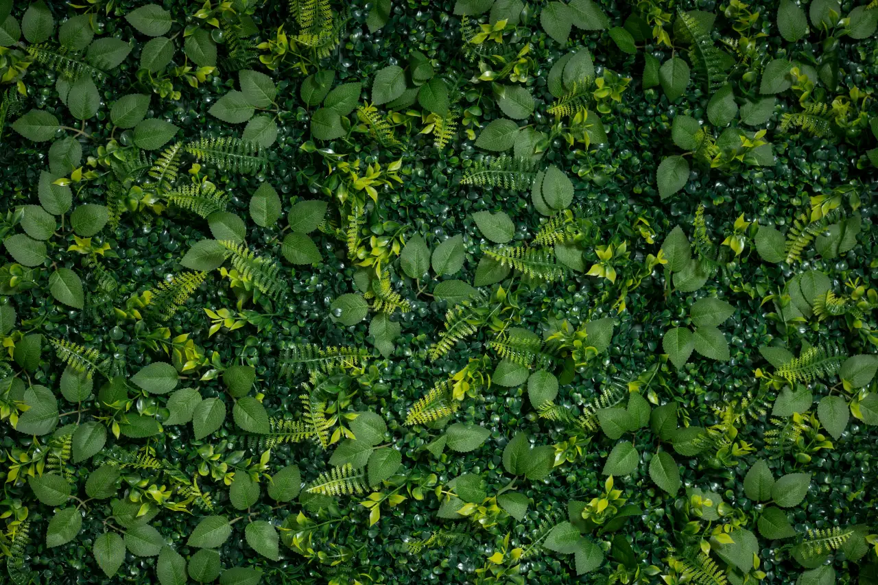 Hedge Over Heels close-up detail