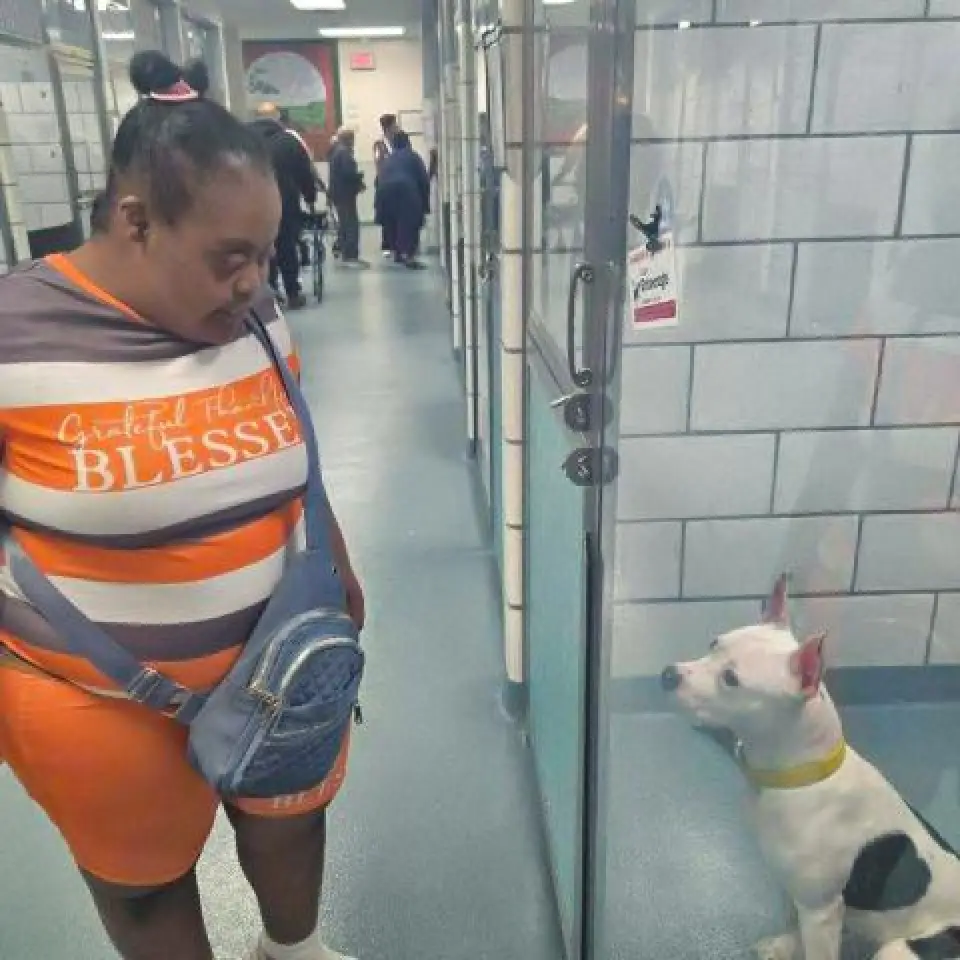 A registrant in the Schofield Adult Day Health Care Program greets a dog during a visit to the SPCA.