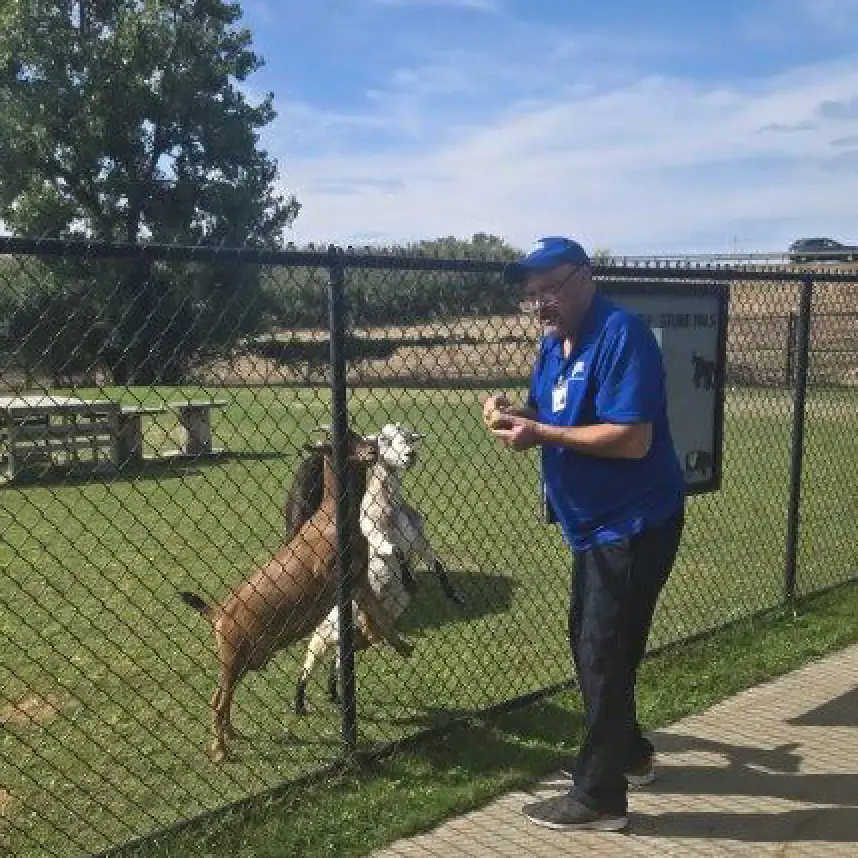 A registrant in the Schofield Adult Day Health Care Program feeds snacks to goats at the SPCA Educational Farm.