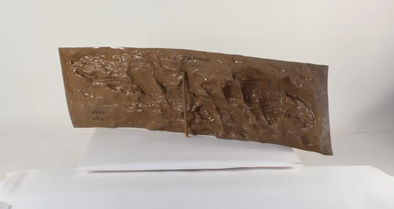 72" x 24" OLGAS