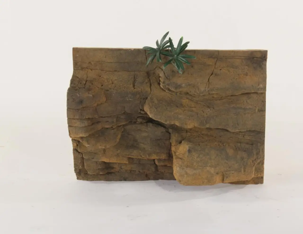 24" x 18"  Exo-Terra