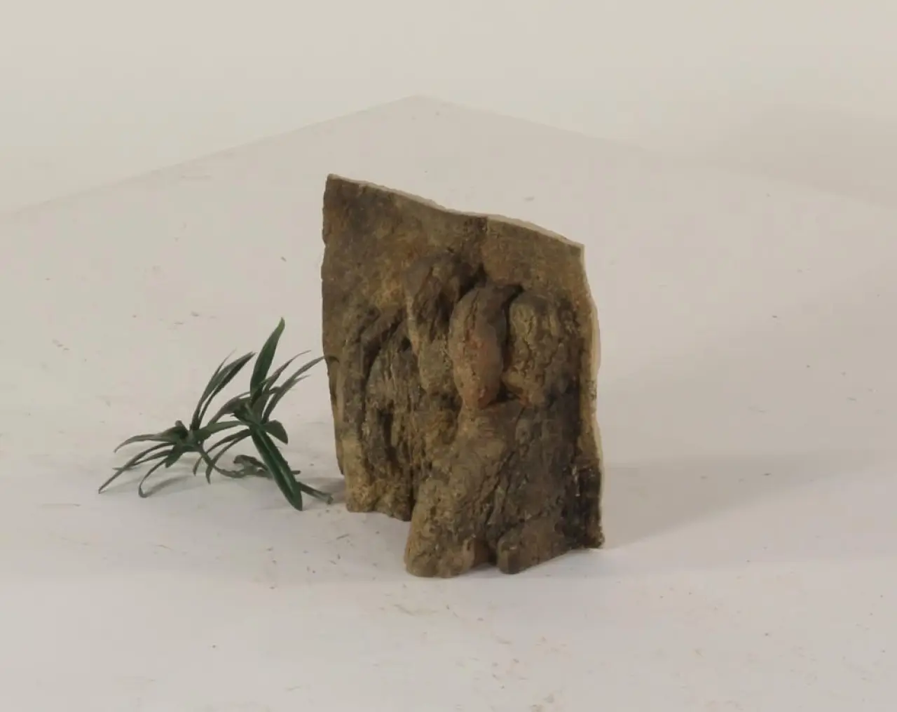 8" x 8" Exo-Terra