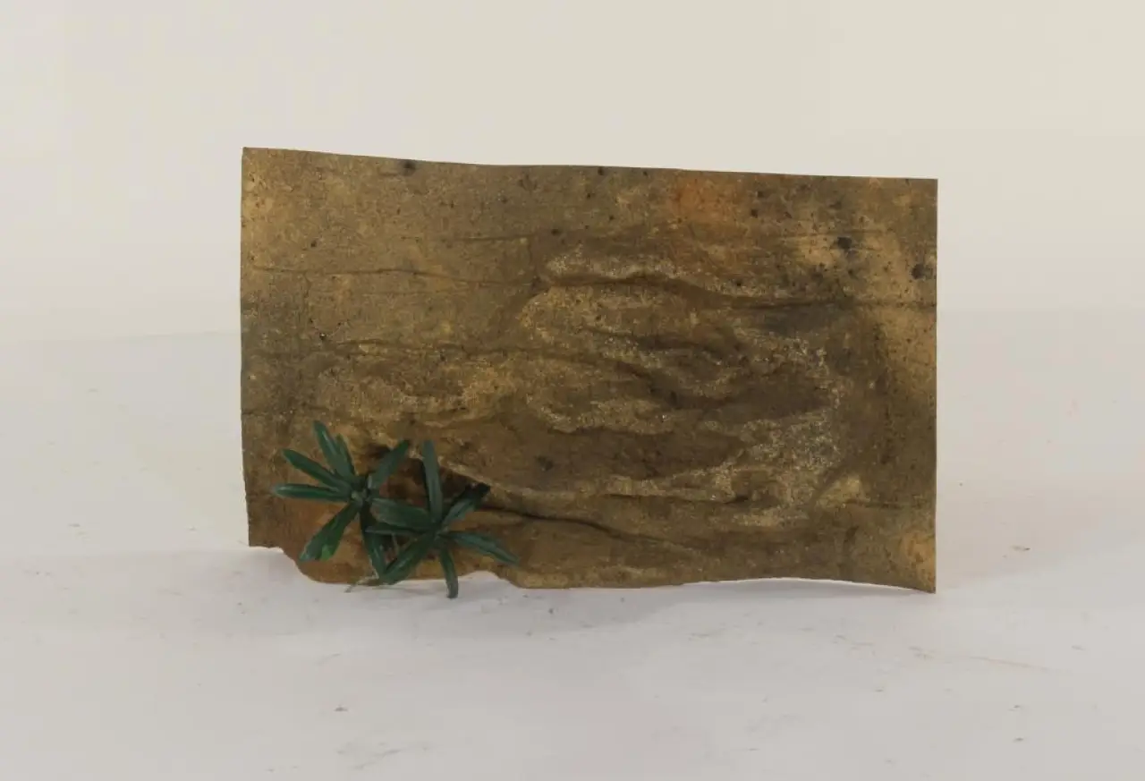20" x 12" Ledge