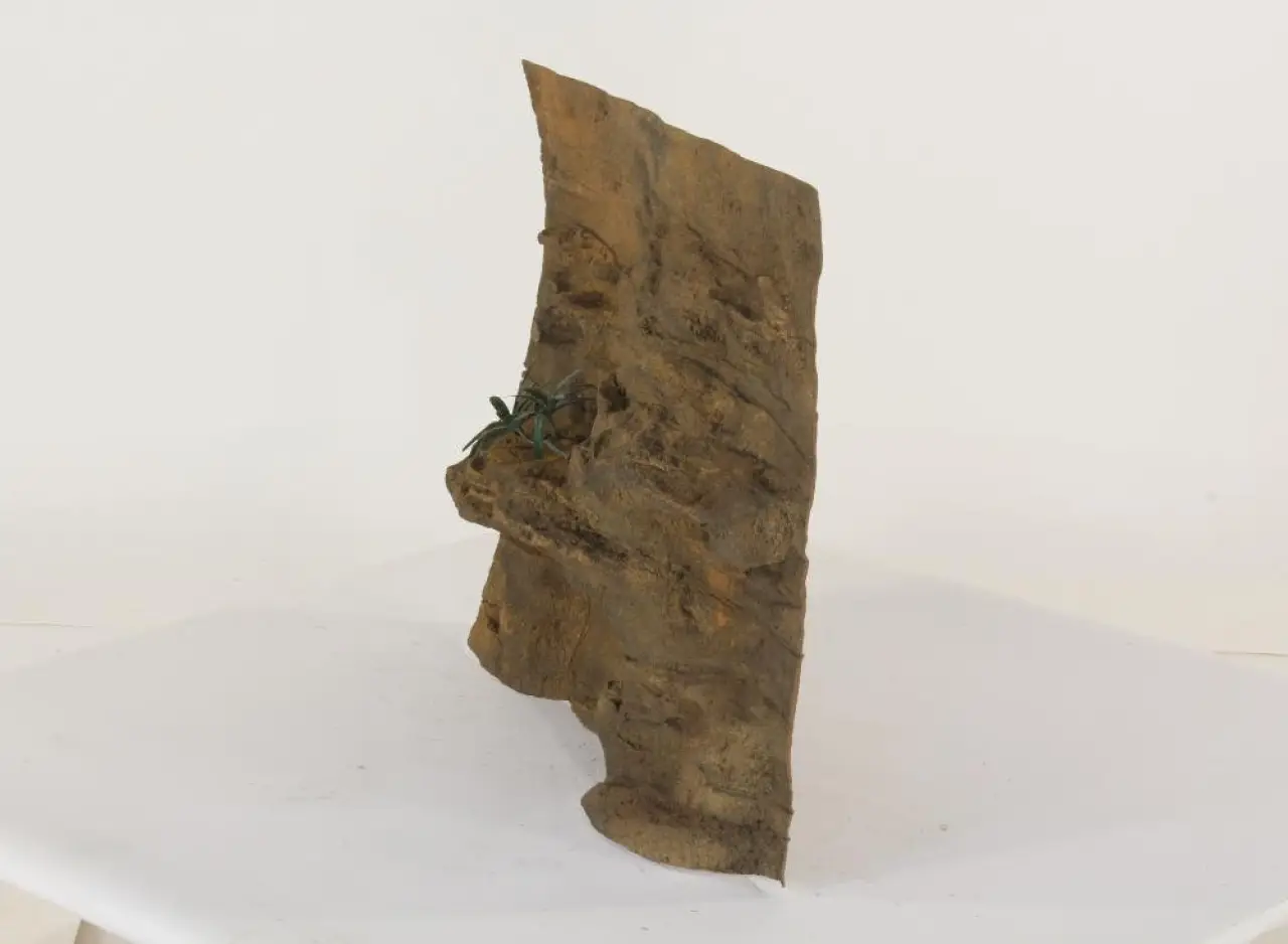 30" x 24" Ledge