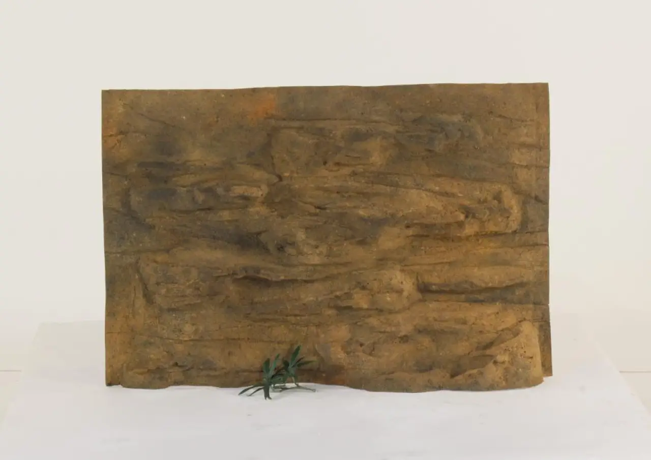 36" x 24" Ledge