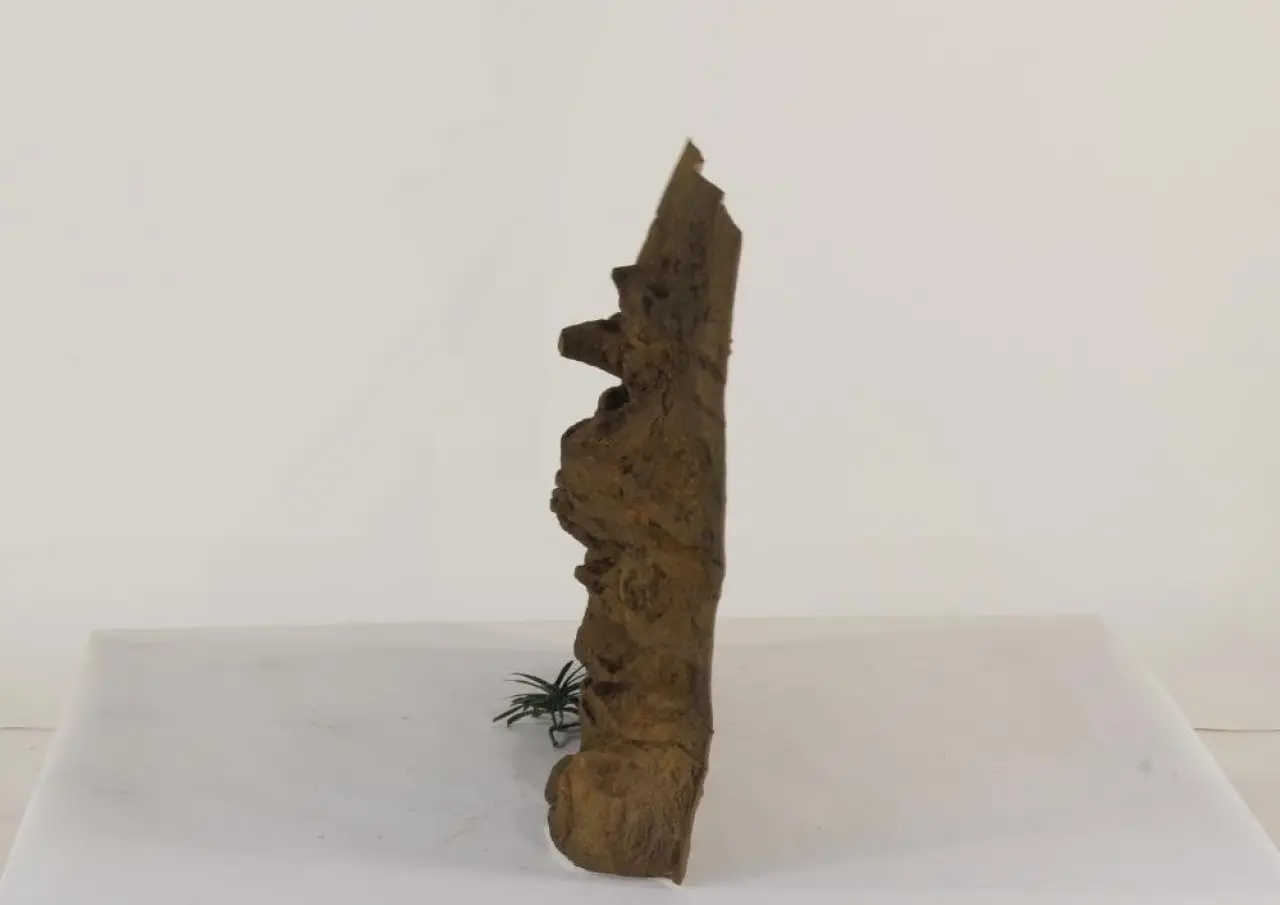 36" x 24" Ledge