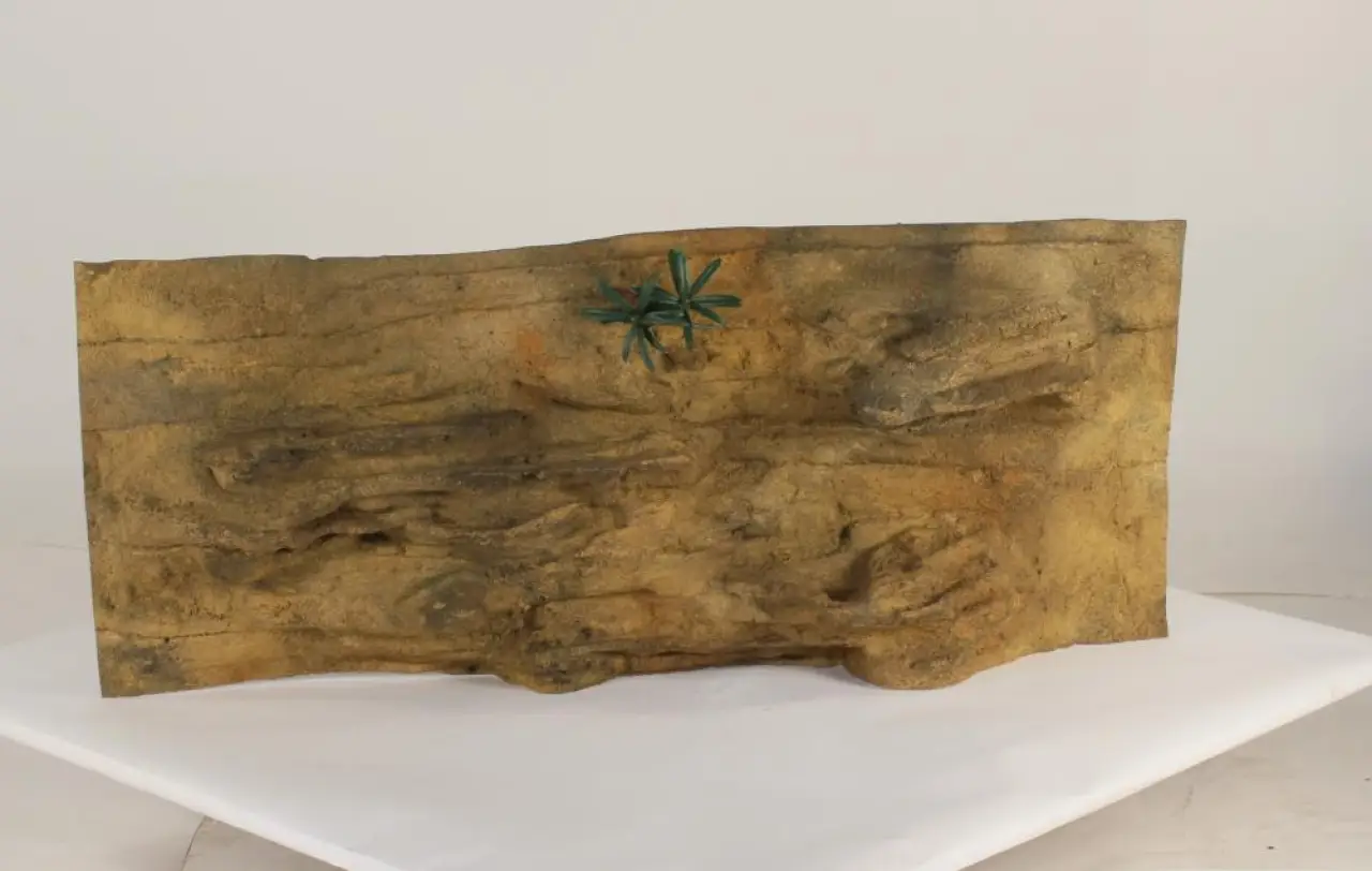 48" x 16" Ledge