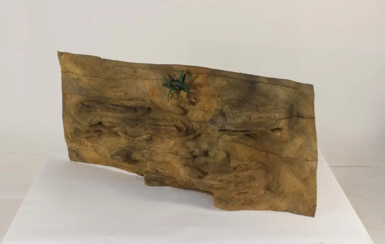 48" x 20" Ledge